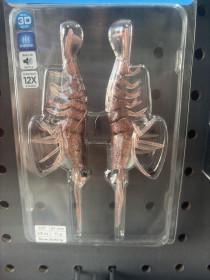 Savage Gear Shrimp 